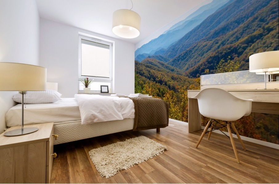 Smoky Mountain View Mural print