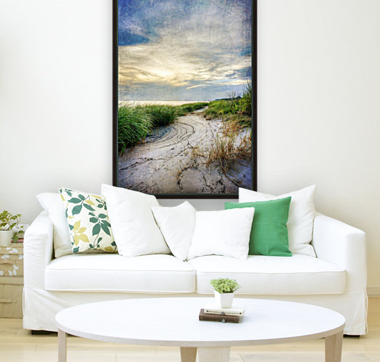 Beach Path Reproduction