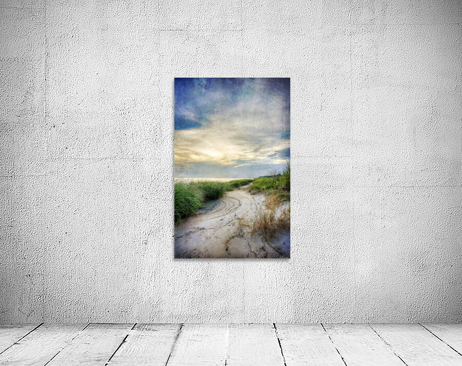 Beach Path Wall Preview