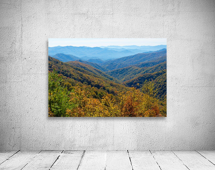 Smoky Mountain View Wall Preview