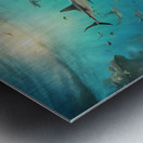Showcase a vast underwater landscape teeming with various fish Metal print