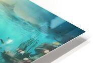 Showcase a vast underwater landscape teeming with various fish HD Metal print