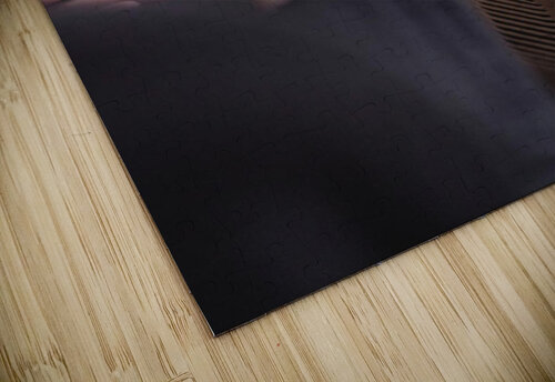 Flowers Corey S Ribotsky puzzle