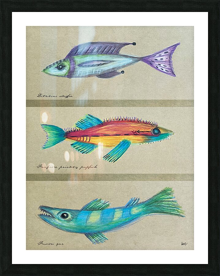 3 Odd Fish Picture Frame print