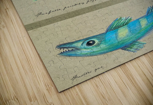 3 Odd Fish Chris Winn puzzle