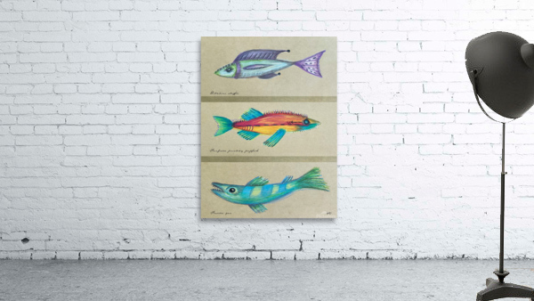 3 Odd Fish Wall Preview