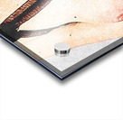 Nude Breasts - Lingerie And Leash Acrylic print