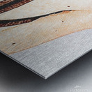 Nude Breasts - Lingerie And Leash Metal print