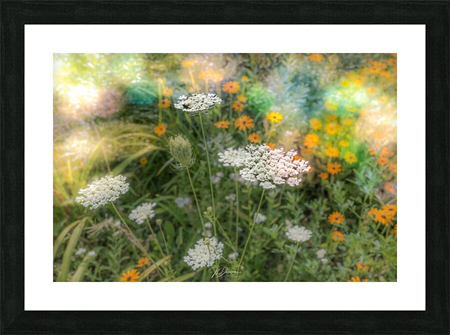 Fleurs dans le parc Picture Frame print