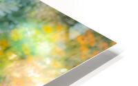 Fleurs dans le parc HD Metal print