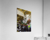 Hell dog Acrylic Print