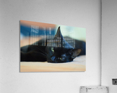 black cat Acrylic Print