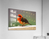 beautiful Acrylic Print