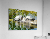 ezj  10 Acrylic Print