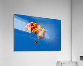 ezj  1 Acrylic Print