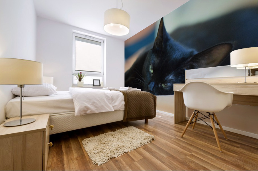 black cat Mural print