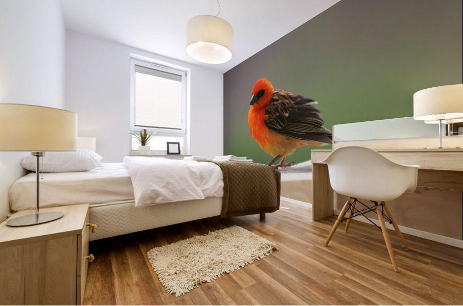 beautiful Mural print