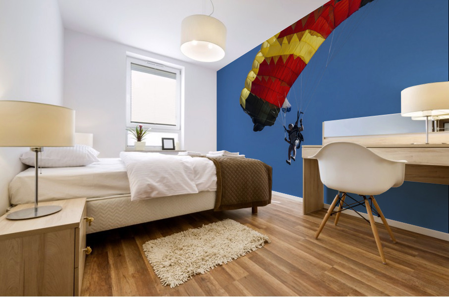flight in sky Mural print