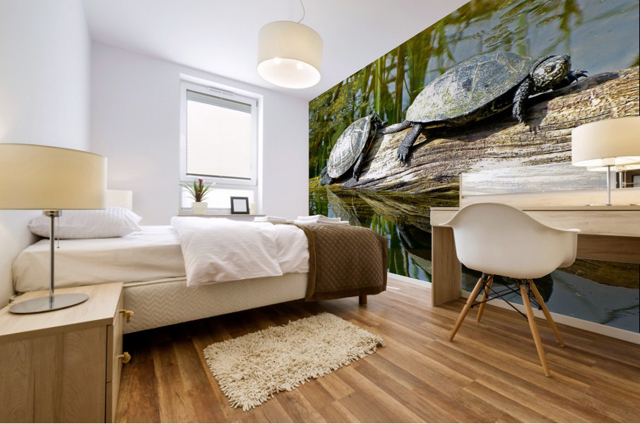 ezj  10 Mural print