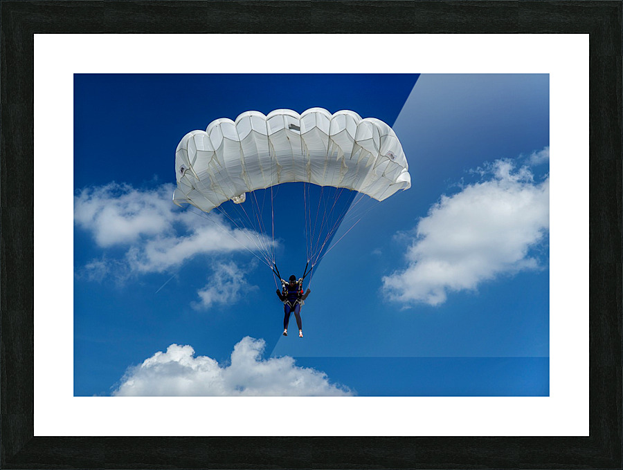 flight Picture Frame print