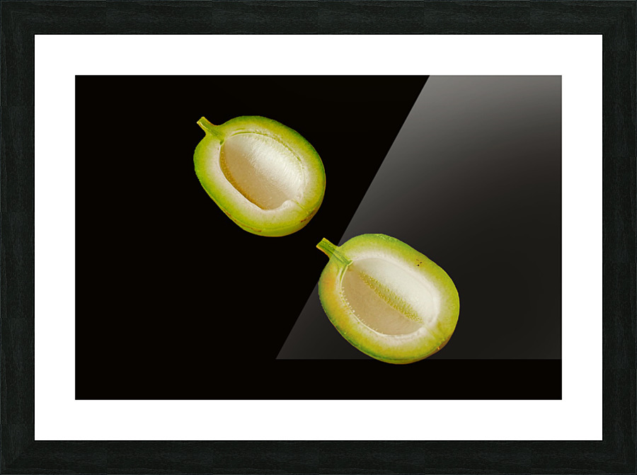 fruit Picture Frame print