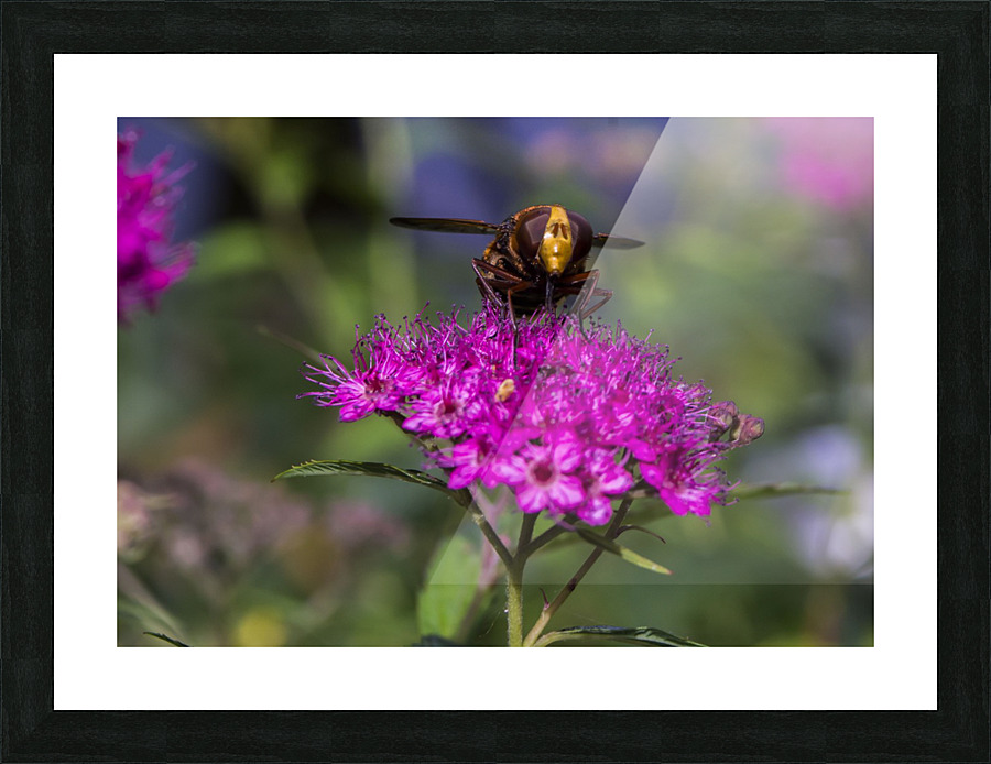 wonderful work Picture Frame print