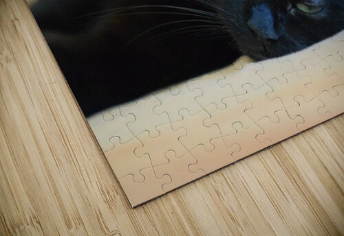 black cat Shankari puzzle