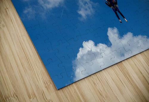 flight Shankari puzzle
