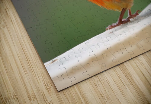 beautiful Shankari puzzle