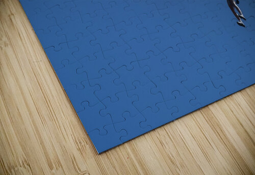 flight in sky Shankari puzzle