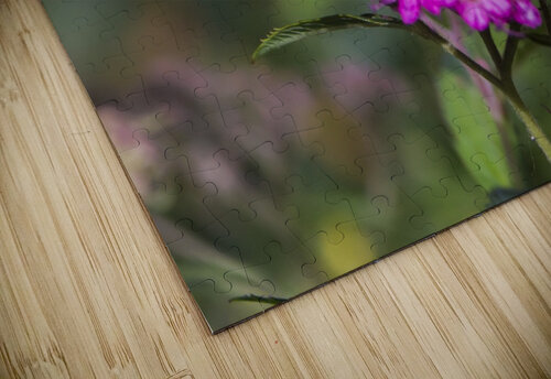 wonderful work Shankari puzzle