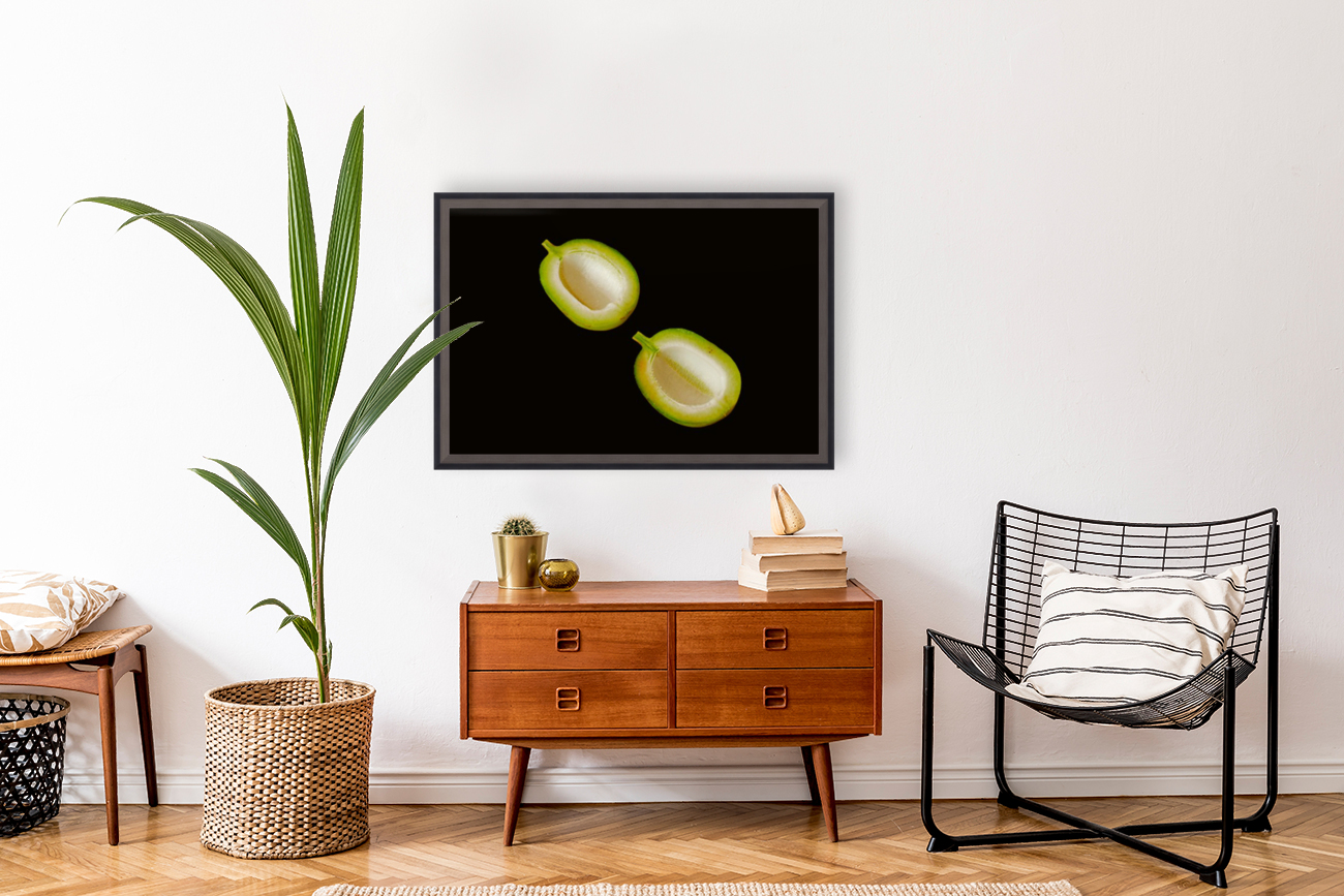 fruit Reproduction