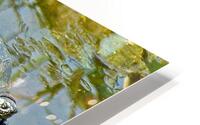 ezj  10 HD Metal print