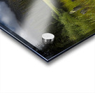 E.C Manning Provincial park British Columbia Acrylic print