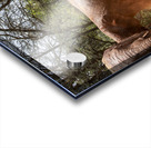 Orphaned elephants rehab center Sheldrick wildlife Impression Acrylique