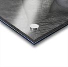 African grey elephants Amboseli National Park Kenya Acrylic print