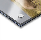 African elephant Amboseli National Park Kenya Acrylic print