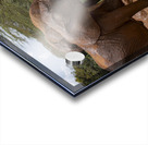 Orphaned elephants rehab center Sheldrick wildlife Impression Acrylique