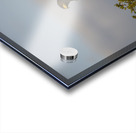 Hawk Lake Nakuru kenya Acrylic print