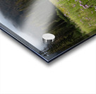 E.C Manning Provincial Park British Columbia Impression Acrylique