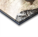 Loiness Sarengeti Africa Acrylic print