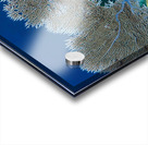 Fan coral Acrylic print