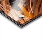 Clown Fish Philippines Acrylic print