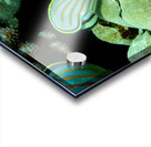 Ornate butterfly fish place of refuge hawaii Acrylic print