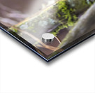 Anns hummingbird perched on a branch Acrylic print