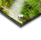 Koko-Em Gardens Kobe Japan 2 Impression Acrylique