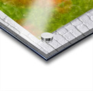 ICM of poppys Monets  Gardens Kotchi Japan Acrylic print