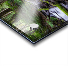 Bridal falls British Columbia creek 2 Acrylic print