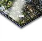 Stream at Bridal Falls Acrylic print