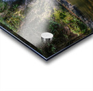 Rolley Lake falls Mission British Columbia 2 Acrylic print